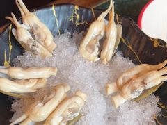 -牛New寿喜烧(金鹰世界店)