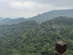 -大芦花风景区