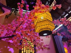 -今朝桃花醉川菜小酒馆(龙湖天街店)
