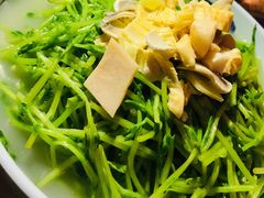 上汤豆苗-拾叁唐Livehouse(佛山禅城店)