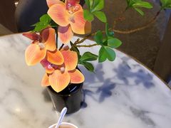 -哈根达斯(皇庭店)