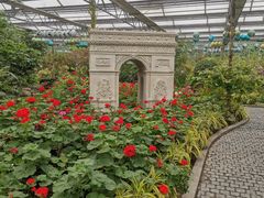 -南宫五洲植物乐园