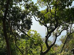 -梧桐山风景名胜区