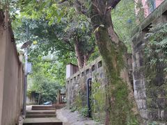 -重庆平顶山公园