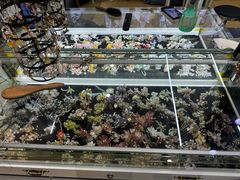 -汉仪华裳汉服旗袍·摄影写真馆(乌镇西栅店)