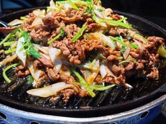 炙子烤呼伦贝尔羔羊肉-喜悦烤鸭·新京菜(王府井店)