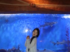 -太平洋海底世界