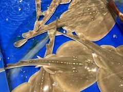 -三亚火车头万人海鲜广场