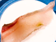 -大起水产回转寿司(道顿堀店)