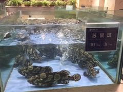 -旺顺阁海鲜广场(亚运村店)
