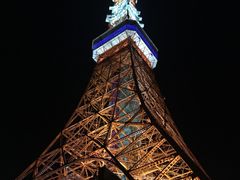 -东京塔海贼王主题公园