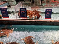 -尚海豆捞(乐虹坊店)