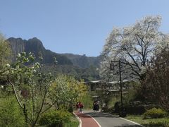 -王莽岭风景区