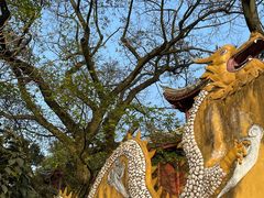 -涂山寺素食餐厅
