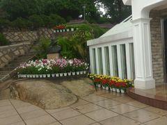 android_upload_pic-鼓浪屿钢琴博物馆