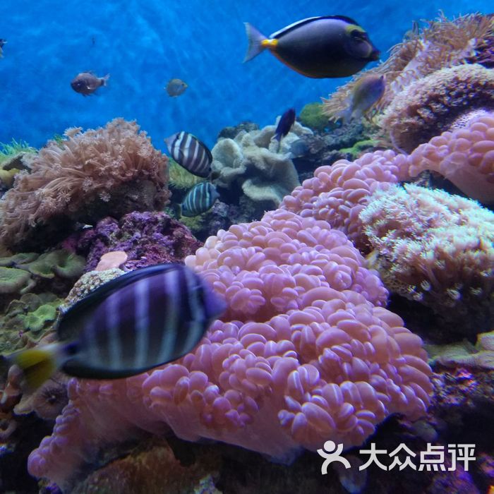 海濱城浩海立方海洋館