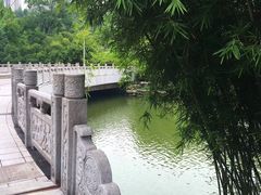 -龙头寺公园