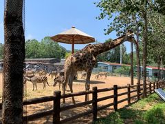 -大连森林动物园