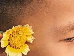 -神光山国家森林公园