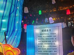 -洋湖国家湿地公园