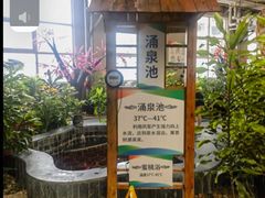 -兴芮温泉度假区