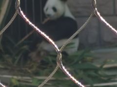-北京海洋馆