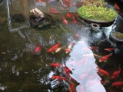 -野蔓果·山野菜(西湖景区·龙井茶田店)