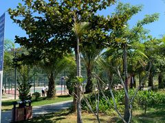 -金鸡岭桥头公园