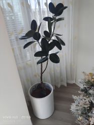 -HEYAN荷妍专业脱毛连锁机构