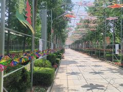 -南宫五洲植物乐园