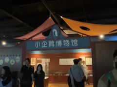 -海合安武汉极地海洋公园