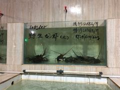 -海盗餐厅