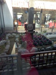 -爱儿美儿童摄影(朝阳公园店)