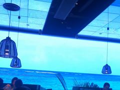 -大头椰·椰子鸡火锅(南宁万象城店)