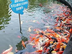 -南昌动物园