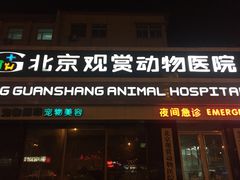 -北京观赏动物医院·24小时大型综合·猫专科·异宠专科