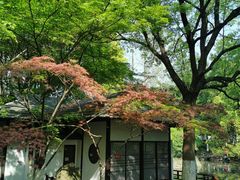-新洲生态园