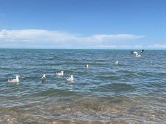 -青海湖国家重点风景名胜区