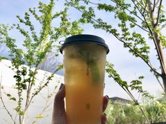 茉莉柠檬茶-introlemons(北京西单更新场店)