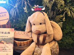 -渝涯重庆豆花老火锅(中赢国际店)