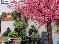 -丽江庭院之爱在路上(西单店)