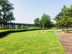 -蒲河岛湿地公园