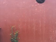 -东沙渔村