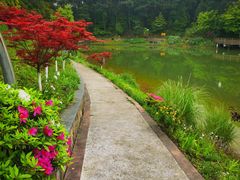 -铁山坪森林公园