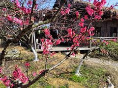-庐山西海主景区