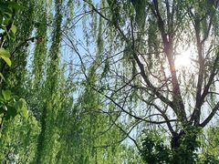 -元大都城垣遗址公园