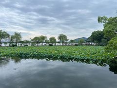 -无锡蠡湖国家湿地公园-蠡园