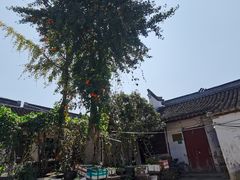 -召稼楼古镇