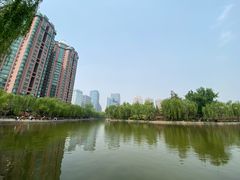 -团结湖公园