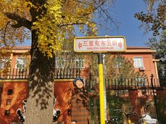 -三里屯东五街银杏大道